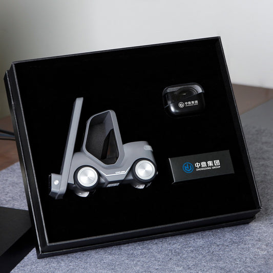 DriveSync Duo